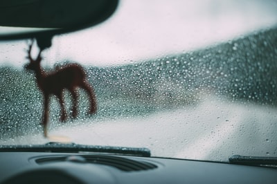 棕鹿钥匙扣特写摄影